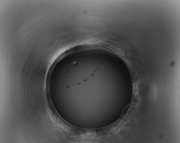 X0000116890196200912291310