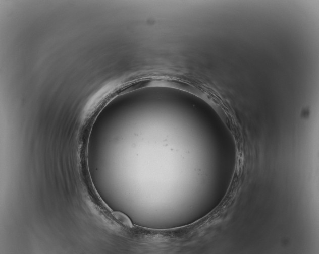 X0000116890197200912291310