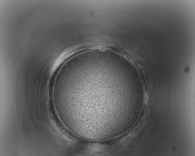 X0000116890198200912291310