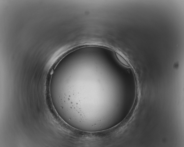 X0000116890199200912291310