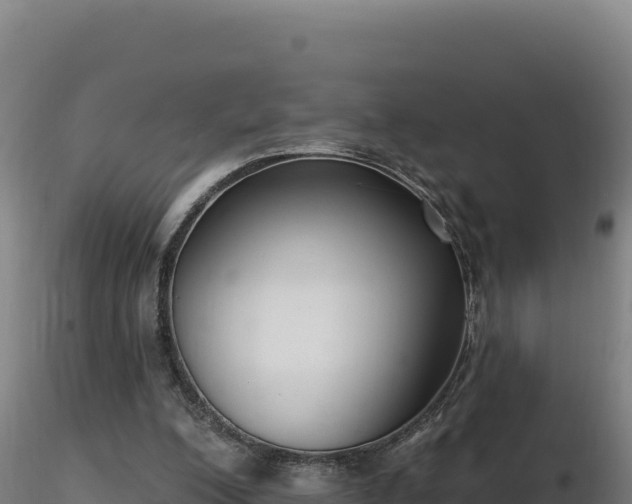 X0000116890200200912291310