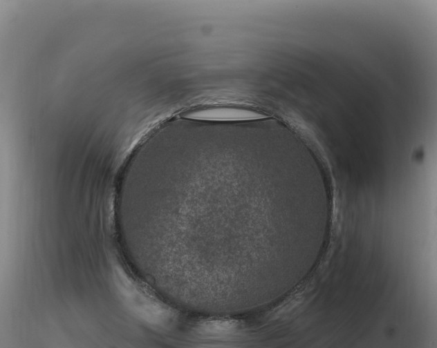 X0000116890202200912291310
