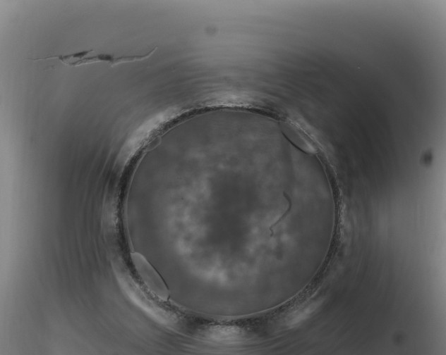 X0000116890203200912291310