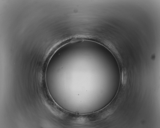 X0000116890204200912291310