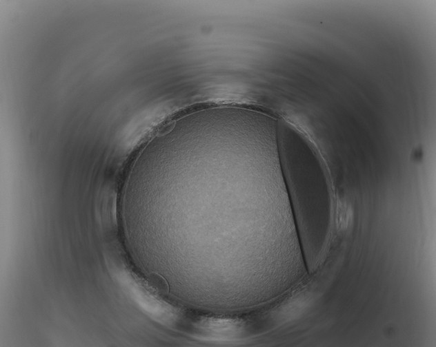 X0000116890205200912291310