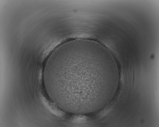 X0000116890206200912291310
