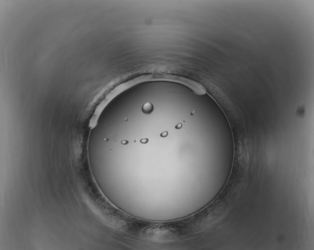 X0000116890208200912291310