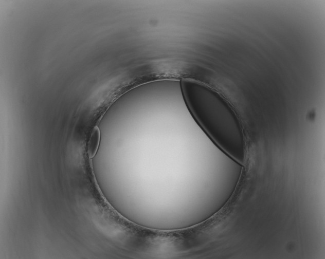 X0000116890209200912291310