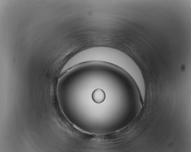 X0000116890211200912291310