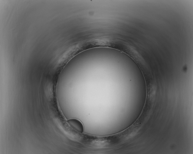 X0000116890213200912291310