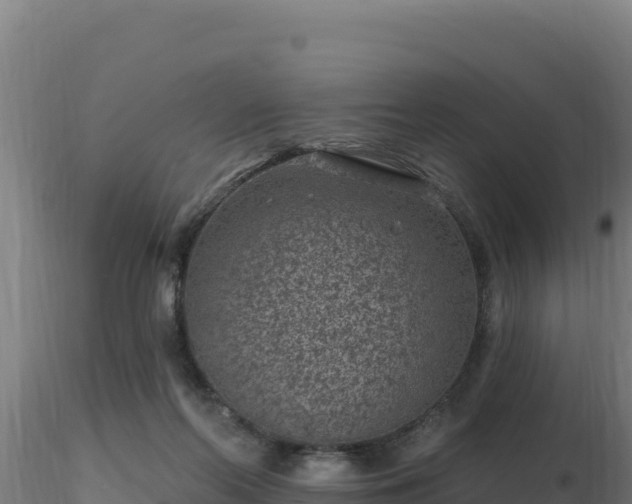 X0000116890214200912291310