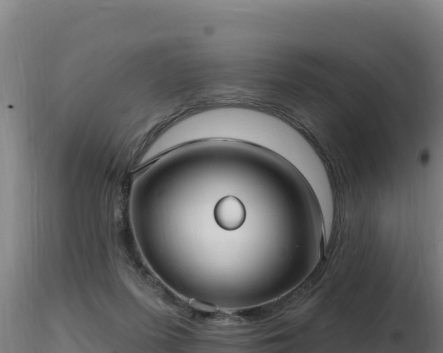 X0000116890215200912291310