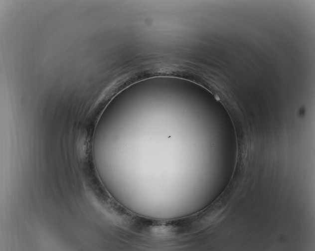 X0000116890216200912291310