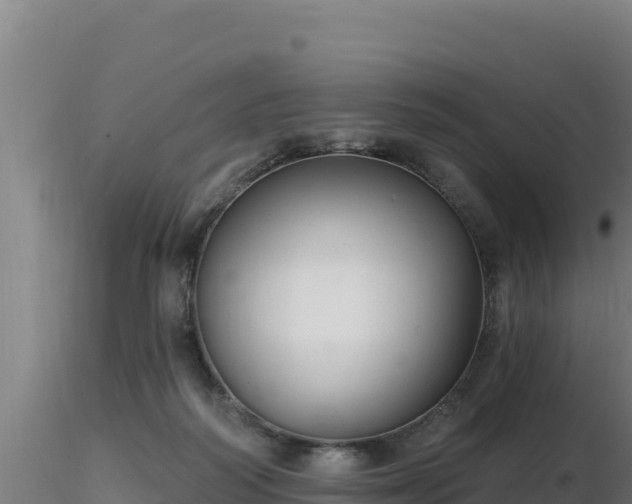 X0000116890218200912291310