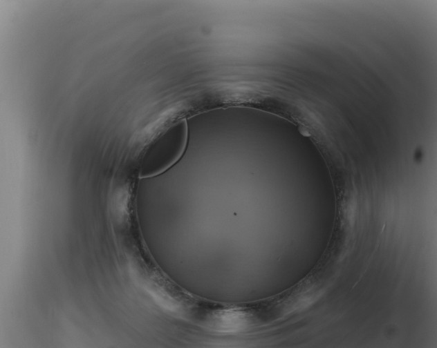 X0000116890219200912291310