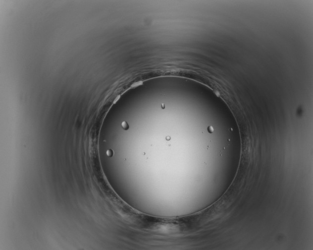 X0000116890220200912291310