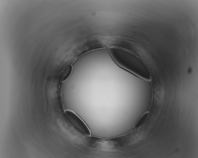 X0000116890221200912291310