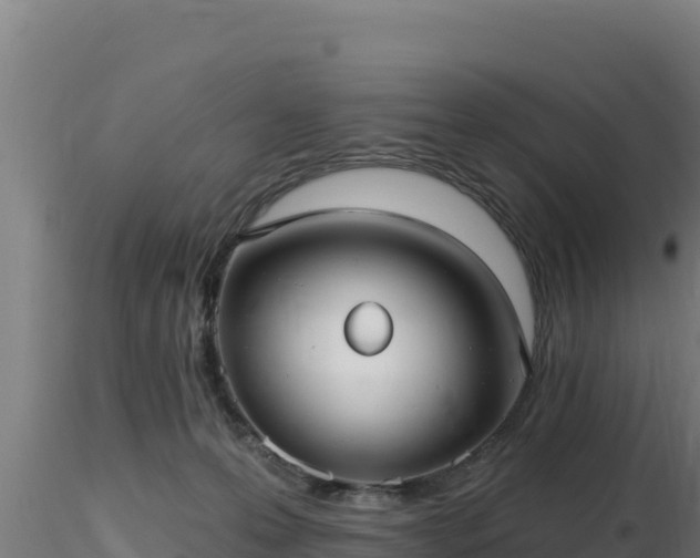 X0000116890223200912291310