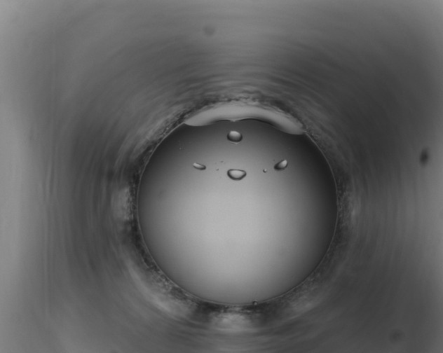 X0000116890224200912291310