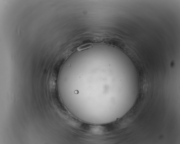 X0000116890226200912291310