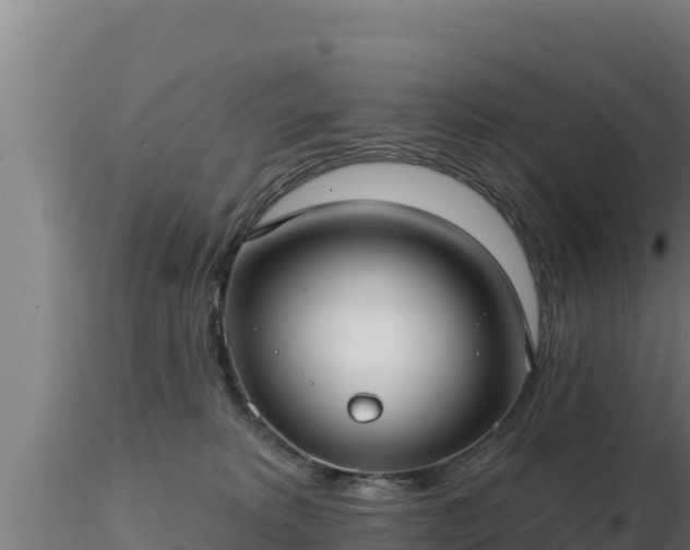 X0000116890229200912291310