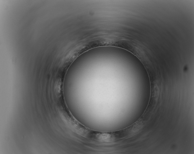 X0000116890230200912291310