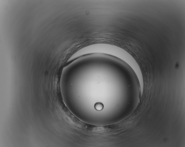 X0000116890231200912291310