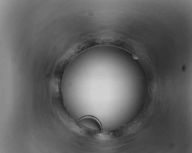 X0000116890232200912291310