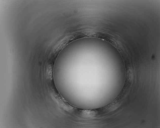 X0000116890234200912291310