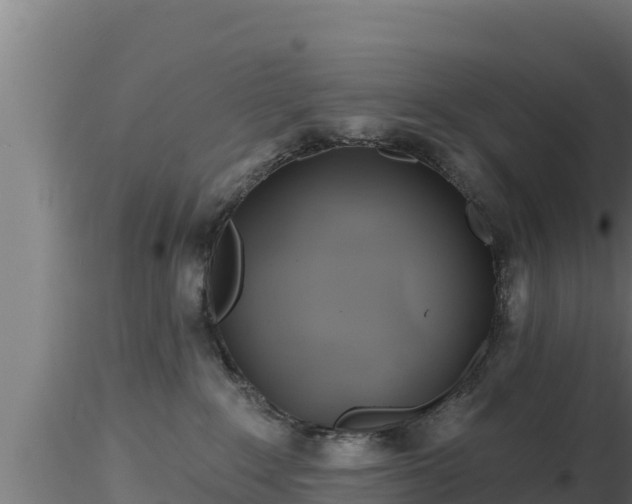X0000116890235200912291310