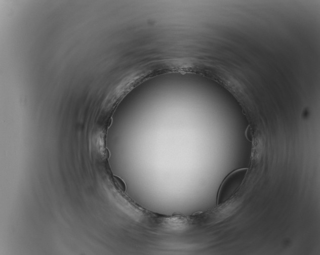 X0000116890238200912291310