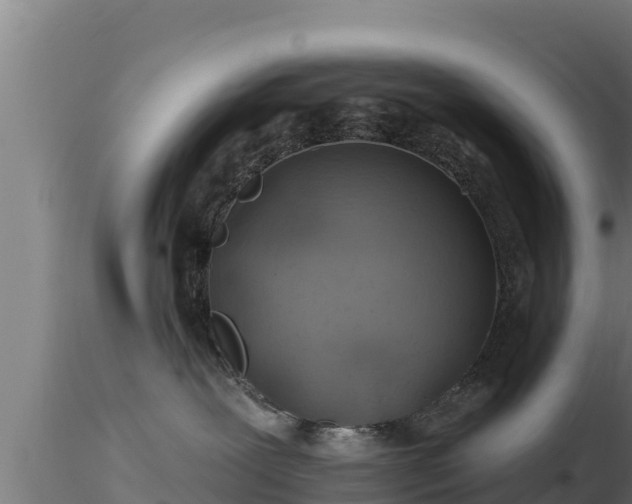 X0000116890239200912291310