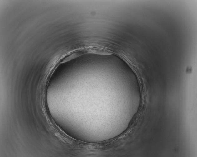 X0000116890241200912291309