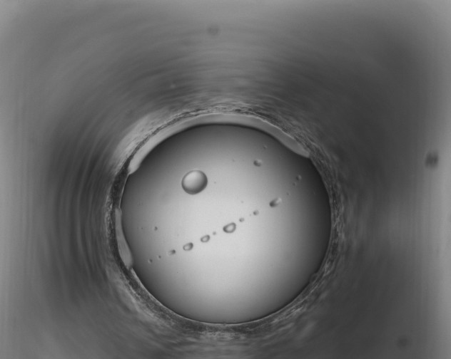 X0000116890242200912291309