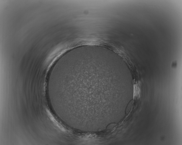 X0000116890243200912291309