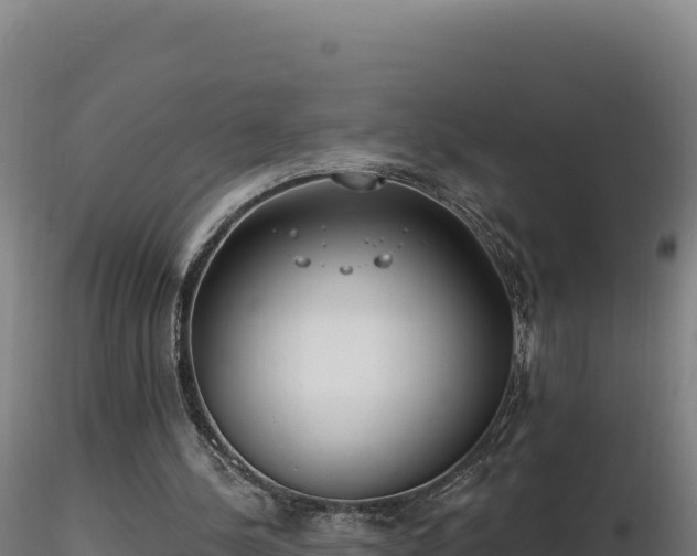 X0000116890244200912291309