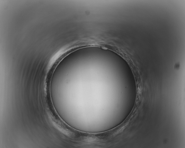 X0000116890246200912291309