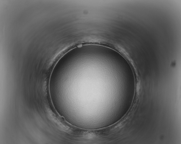 X0000116890249200912291309