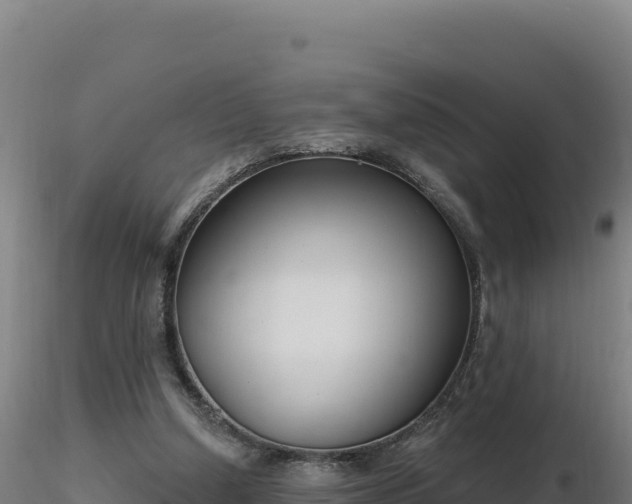 X0000116890250200912291309