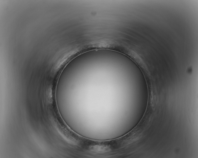 X0000116890251200912291309