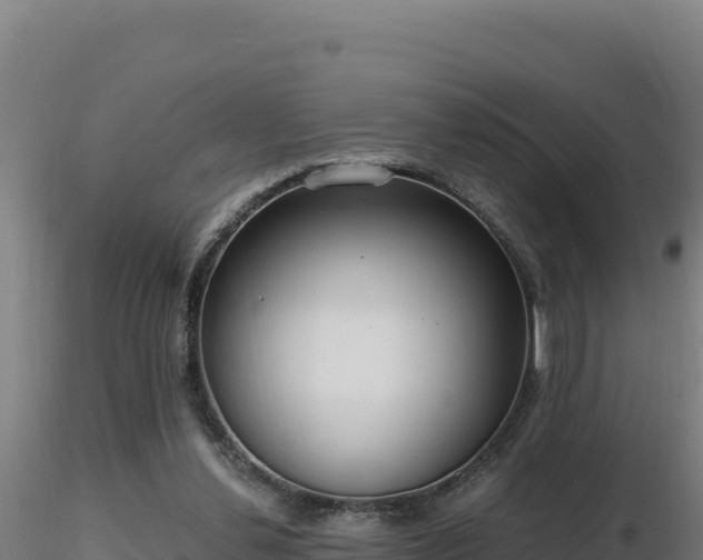 X0000116890252200912291309