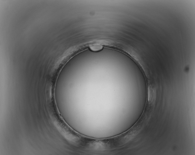 X0000116890253200912291309