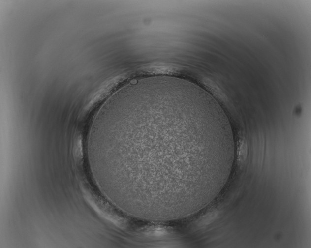 X0000116890254200912291309
