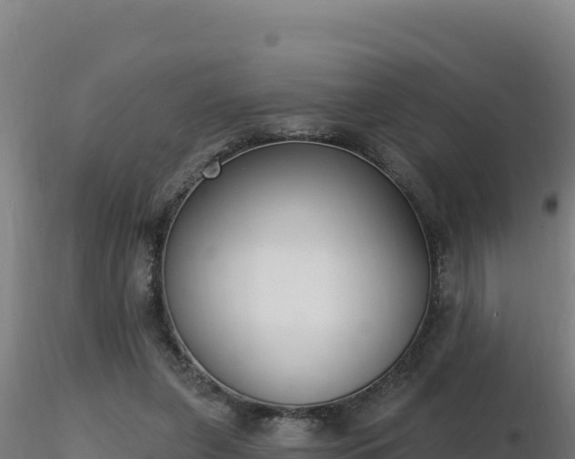 X0000116890255200912291309