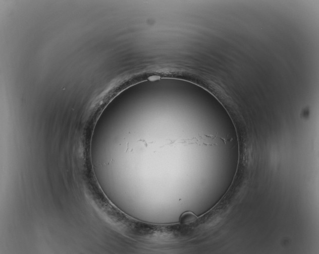 X0000116890256200912291309