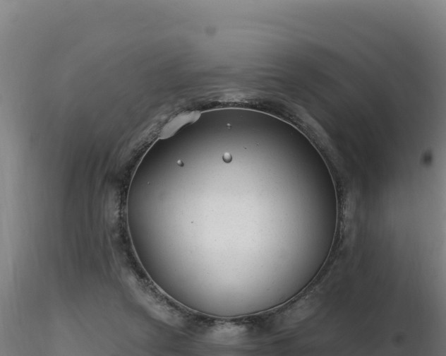 X0000116890257200912291309