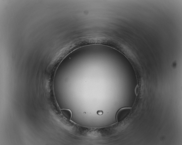 X0000116890258200912291309