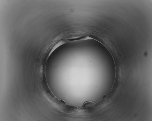 X0000116890260200912291309