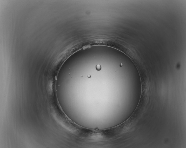 X0000116890262200912291309
