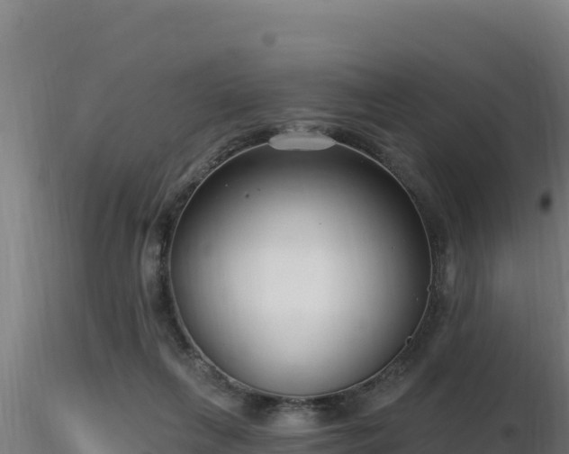 X0000116890263200912291309